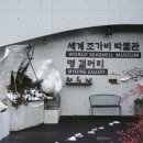 세계조개박물관 이미지