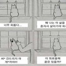 스톱(stop) 이미지