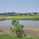 임실 가덕리 하가구석기유적 이미지