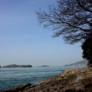 초양선착장 이미지