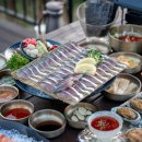 노도고등어회 | 제주시 아침식사 맛집 노도고등어회 제주 제주시 맛집 후기