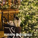 디자인플러스 | 다견 가족의 리얼 사용기 리카리카 올데이 플러스 일체형 유모차 후기 (초경량 + 디자인 맛집 인정!)