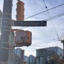 리멤버런스 | [밴쿠버] 나홀로 캐나다 워홀 #11-3 | 캐나다 리멤버런스데이 | 스티브스턴 랍스터피자 | 달러라마...