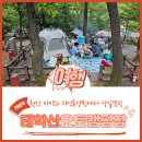 천안 태학산자연휴양림 오토캠핑장 당일치기 후기