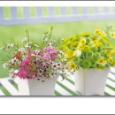 아름다운기억 이미지