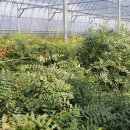 김태준농장 이미지