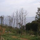 거성초등학교 이미지