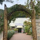 박사골 | 파주 가볼만한곳, 파주 카페 추천 라메종모네 솔직후기