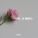 물들어간다는 것은 이미지