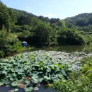 성주소류지 이미지