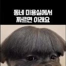 동네미용실 이미지