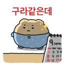 [일상] 시장에 가면~ 추석도 있고, 점심 회식도 있고, 아이폰16프로도 있고, 아이유 콘서트도 있고, (38...
