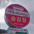 상진대교 밑 | 단양 가볼만한곳 단양강잔도