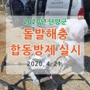 단양공설정구장 이미지