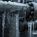 세탁특공대 이미지