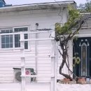 유어면사무소 네이버블로그