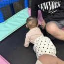 우드밸리키즈펜션 네이버블로그