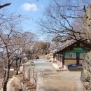 주사암 - 1660 | 주사암