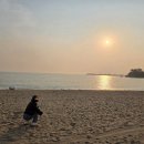 엘림비치 킹스테이 이미지