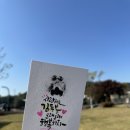 펫다이어리 | 파주 애견동반 여행 산책 코스 DMZ 펫트래킹 추천 후기