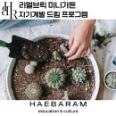 미래가든 | 리얼브릭 미니가든, 미래를 그리는 자기계발 드림 워크숍 프로그램