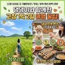 부부농장 | 고창여행, 1박2일 코스 - 가볼만한 곳, 장어맛집, 한옥펜션(애견동반) 후기