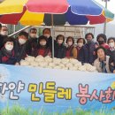 민들레떡 이미지