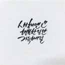 더씨앤씨 이미지
