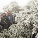 한라산 - 제주시 | 한라산