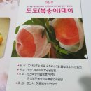 옹골찬농장 | 경산도도데이 후기~#고인돌농장 #옹골찬#천도복숭아