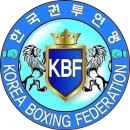 브로스 복싱 이미지