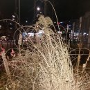 등촌역 8번출구 이미지