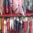 이향애견살롱 이미지