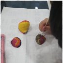 그림터미술학원 이미지