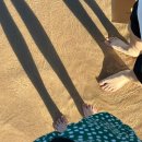 바다비치 | 호주 시드니 4월 5월 수영 가능할까 본다이비치 바다 수영 후기