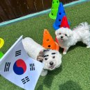 행복한부산맘 이미지