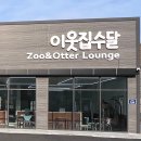 수달수영장 앞 이미지