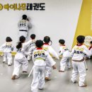 아이나무태권도 이미지