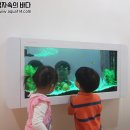 행복한수족관 이미지