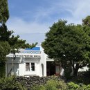 엉클창 | 제주도 혼자여행 함덕 해수욕장 엉클 프레즐 하우스 내돈내산 후기🥨