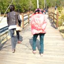 건강을 위한 숲길걷기 체험! 장흥여행『편백숲우드랜드』 이미지