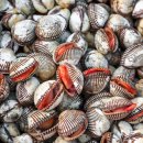 아리채요양병원 이미지