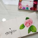 수채화 캘리그라피 이미지