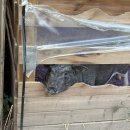 정원 캠핑장 | [만수동맛집] 캠핑바베큐 제대로 즐기고 온 달빛정원 캠핑장 후기🍖