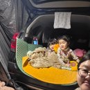 뚜비농장 | 아이랑 캠핑 고민 끝! 청도 송원리 감성캠핑 완벽 정리 (놀거리 총정리)