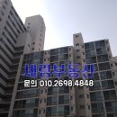 상록수 이미지