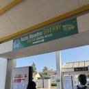 모네의 정원 | 프랑스 지베르니 투어없이 모네의 정원 집 방문 후기