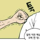 백대 이미지