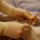 향동미라클의원 이미지