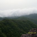 제30차 땜방 백복령-생계령-고병이재-석병산-두리봉-삽당령 산행길 이미지